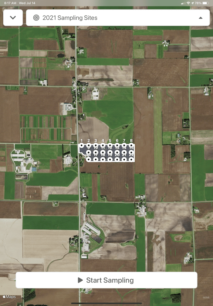 field now sample layer