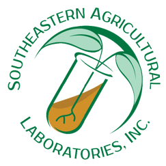 logo_transparent (1)